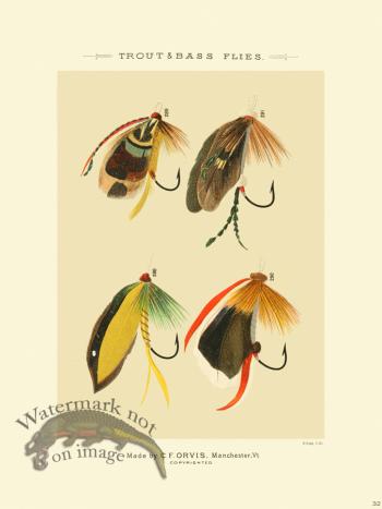 Favorite Flies 32 Bass Trout